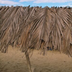 Restaurant POS & Kitchen Display