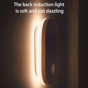 Human Body Induction Home Entrance Light